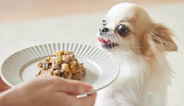 ヒューマングレード