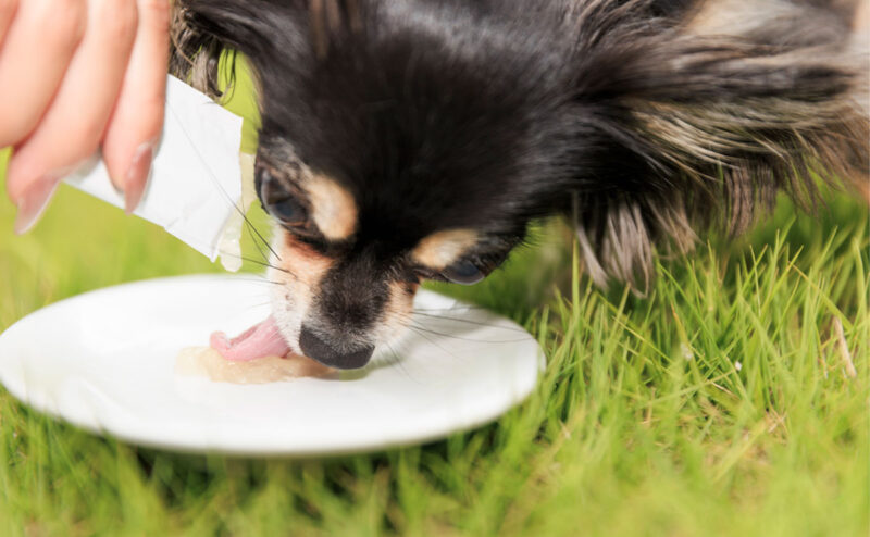 ペットフードOEM